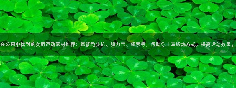 意昂体育4平台APP:在公园中找到的实用运动器材推荐:智能跑