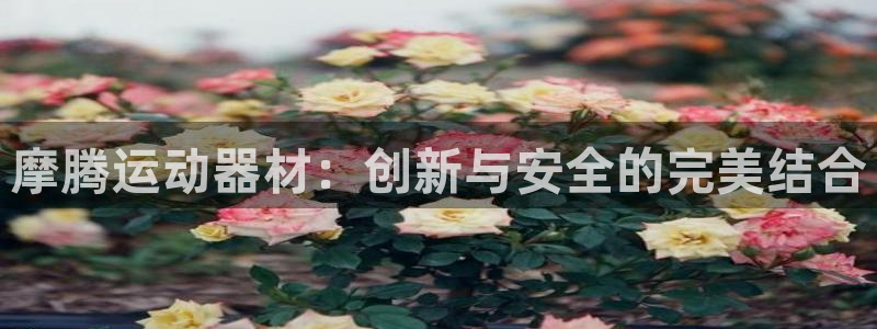 意昂体育4联系电话:摩腾运动器材:创新与安全的完美结合