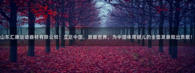 德国意昂4集团:山东汇康运动器材有限公司:立足中国,放眼世界